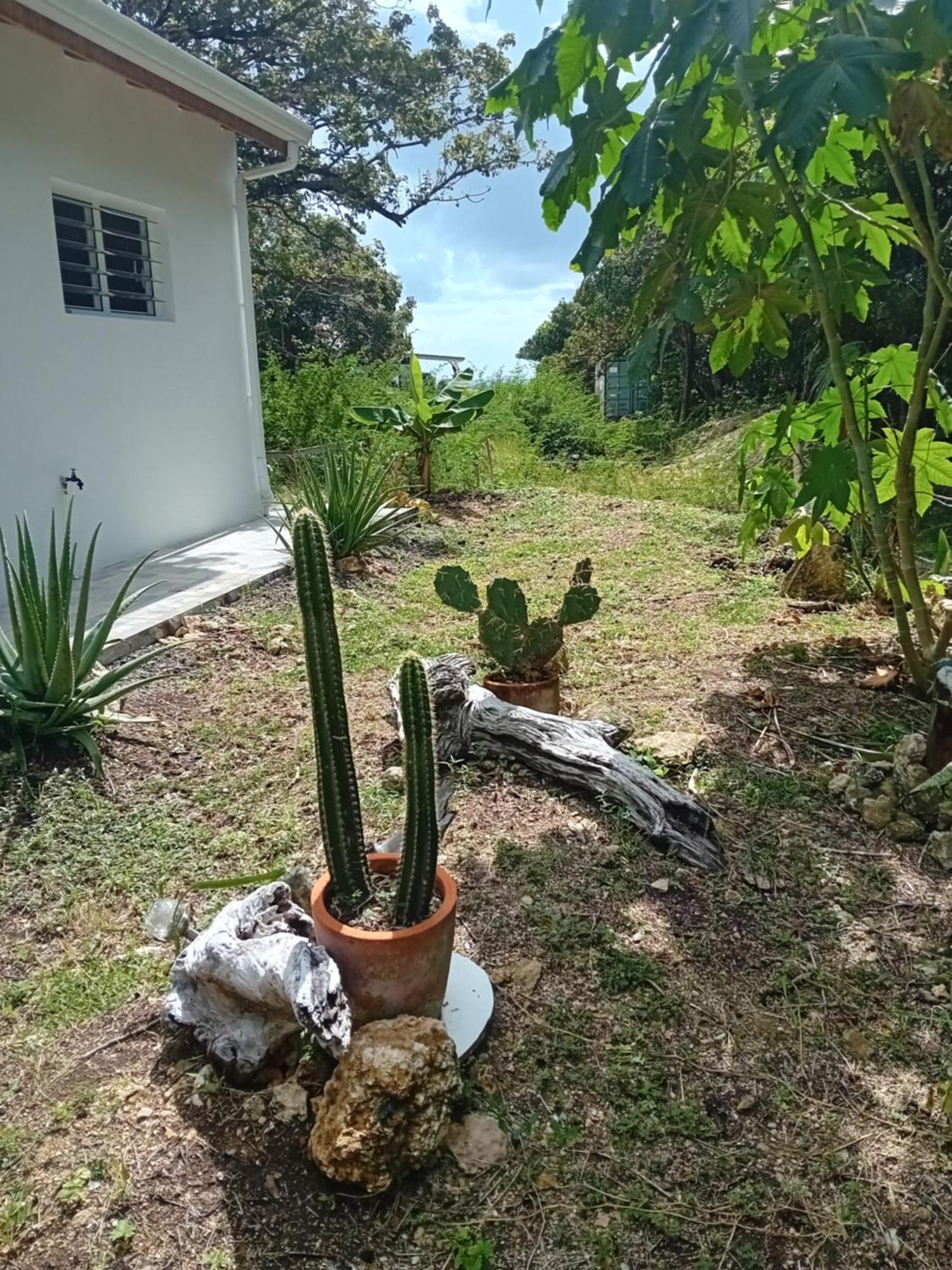 Kazacactus-Villa 3 Chambres Piscine Marie-Galante Beausejour Exterior photo